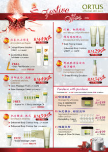 Festive offer (body)